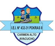 N°432-31 POKRAS
